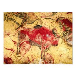 Bison at Altamira (Spain) Artist unknown Photo Print