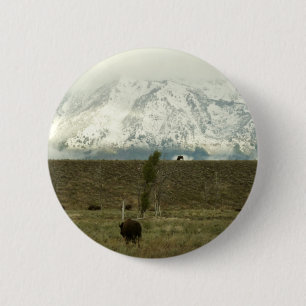 Bison at Grand Teton National Park Photography 6 Cm Round Badge