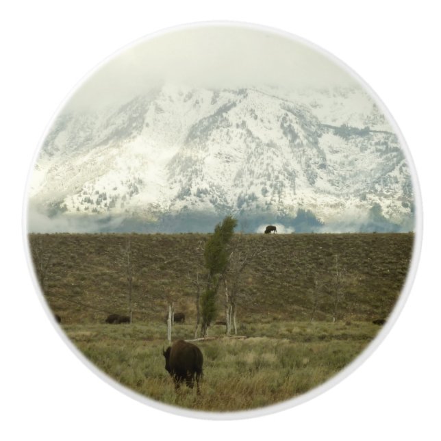Bison at Grand Teton National Park Photography Ceramic Knob (Front)