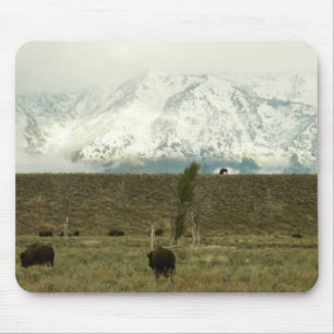 Bison at Grand Teton National Park Photography Mouse Pad