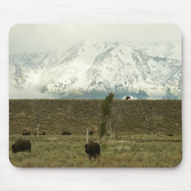 Bison at Grand Teton National Park Photography Mouse Pad (Front)