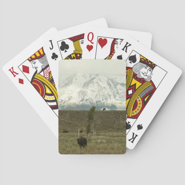 Bison at Grand Teton National Park Photography Playing Cards (Back)