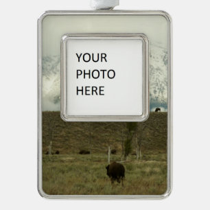 Bison at Grand Teton National Park Photography Silver Plated Framed Ornament