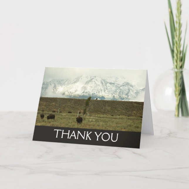 Bison at Grand Teton National Park Photography Thank You Card (Front)