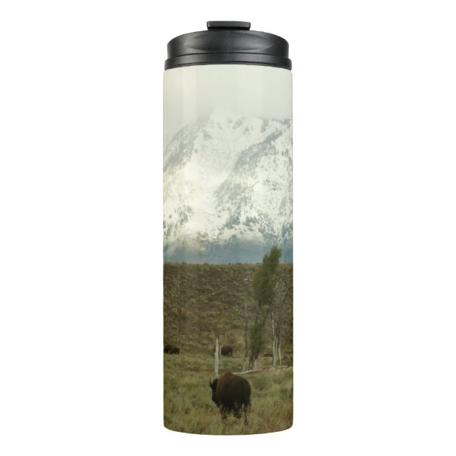 Bison at Grand Teton National Park Photography Thermal Tumbler (Front)