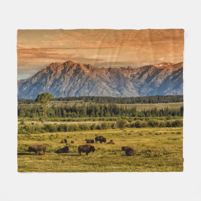 Bison at Sunrise Fleece Blanket (Front (Horizontal))