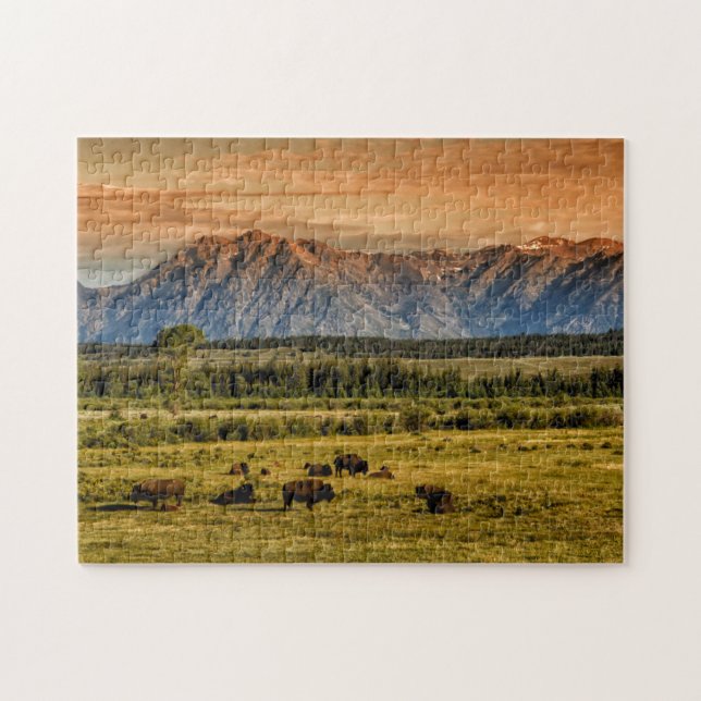 Bison at Sunrise Jigsaw Puzzle (Horizontal)