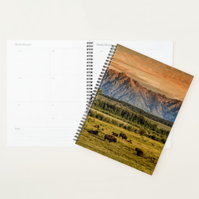 Bison at Sunrise Planner (Display)