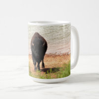 Bison At The Water