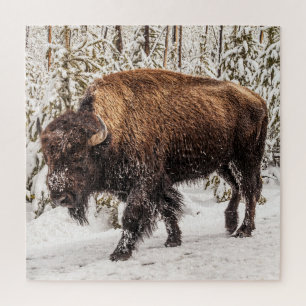 Bison (Bison bison) - Buffalo - Snow - 676 piece Jigsaw Puzzle