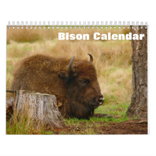 Bison Buffalo 2025 Calendar