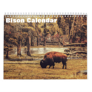 Bison Buffalo 2025 Calendar