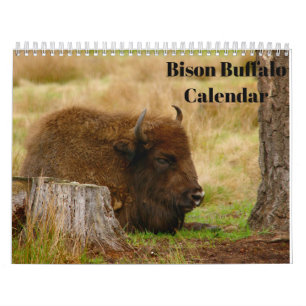Bison Buffalo 2026 Calendar