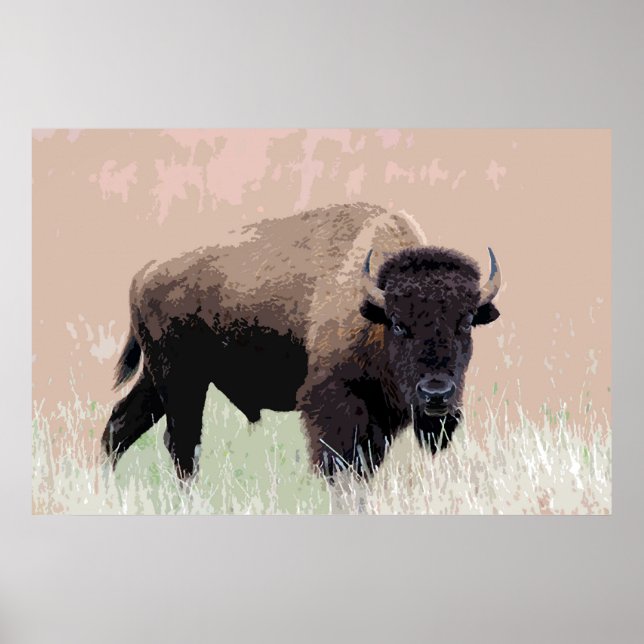 Bison Buffalo American Artwork Poster (Front)