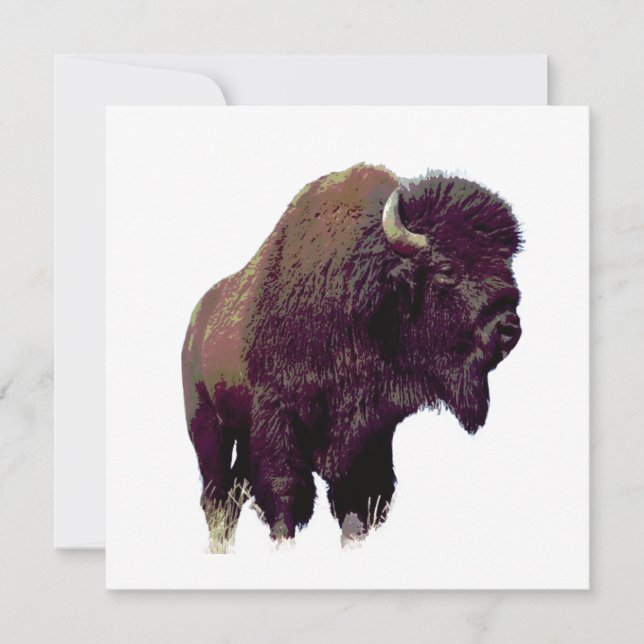 Bison Buffalo Card (Front)