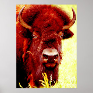 Bison Buffalo Head American Artwork Poster