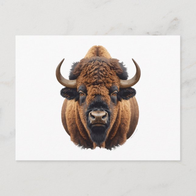 Bison / Buffalo Holiday Postcard (Front)