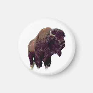 Bison Buffalo Magnet