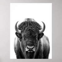 Bison Buffalo Modern Portrait black white