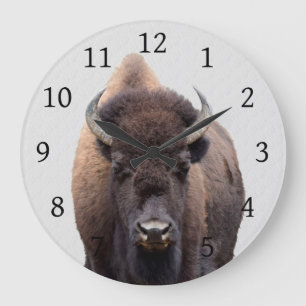 Bison Buffalo Photo 135 Large Clock
