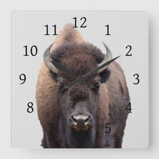 Bison Buffalo Photo 135 Square Wall Clock (Front)