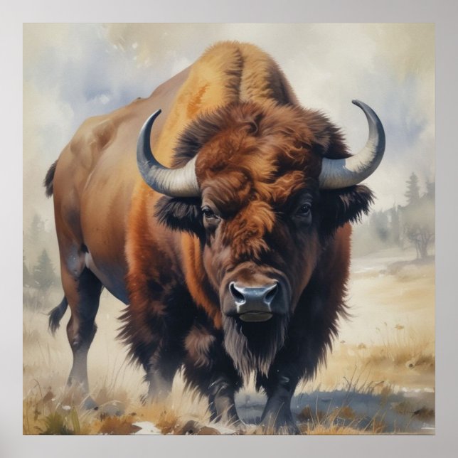 Bison / Buffalo Poster (Front)