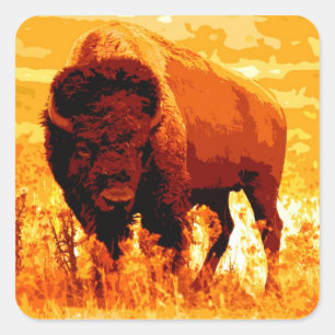 Bison / Buffalo Square Sticker