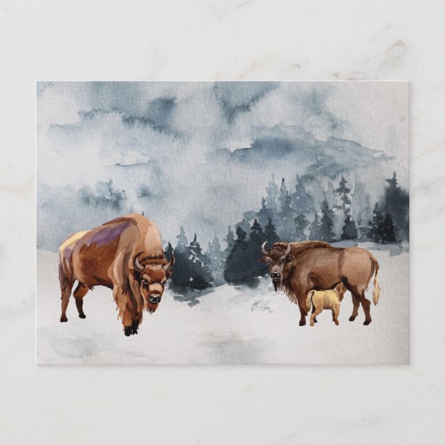 Bison Buffalo Watercolor Landscape Winter Holiday Postcard (Front)