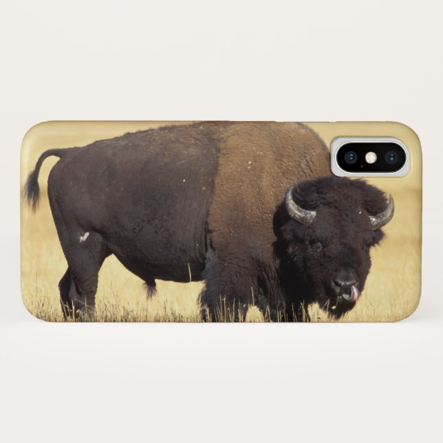 Bison Bull in Yellowstone National Case-Mate iPhone Case (Back (Horizontal))