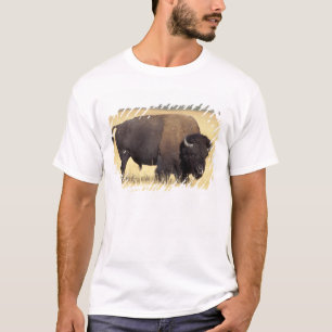 Bison Bull in Yellowstone National T-Shirt