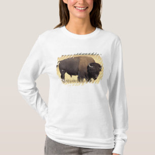 Bison Bull in Yellowstone National T-Shirt