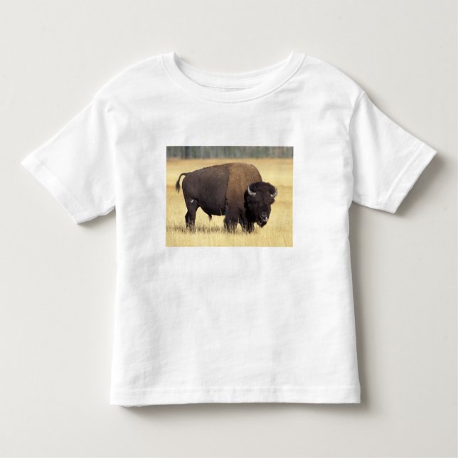 Bison Bull in Yellowstone National Toddler T-Shirt (Front)