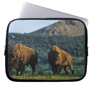 Bison bulls at Waterton Lakes National Park Laptop Sleeve