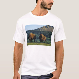 Bison bulls at Waterton Lakes National Park T-Shirt