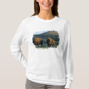 Bison bulls at Waterton Lakes National Park T-Shirt