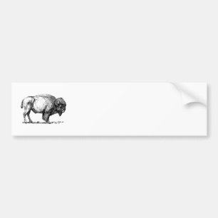 Bison Bumper Sticker