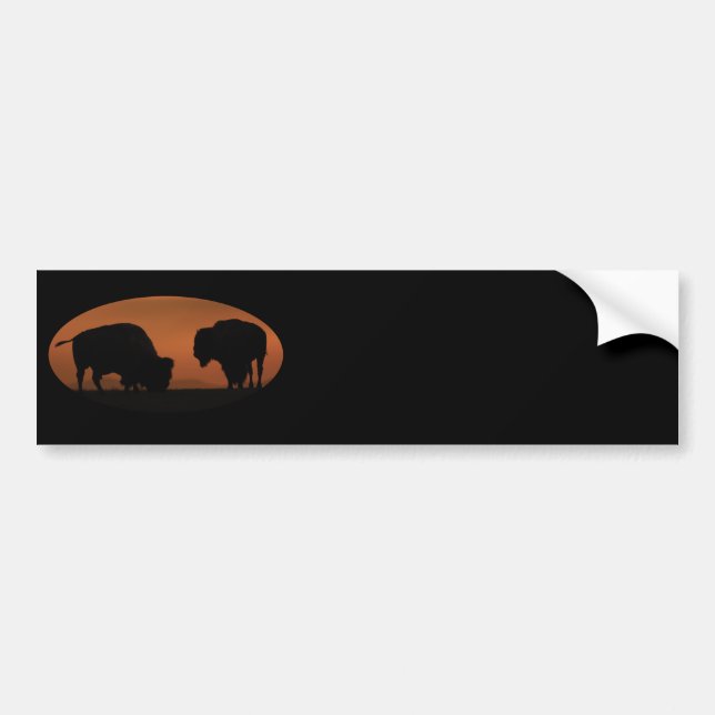 bison bumper sticker (Front)