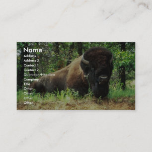 Bison Business Card