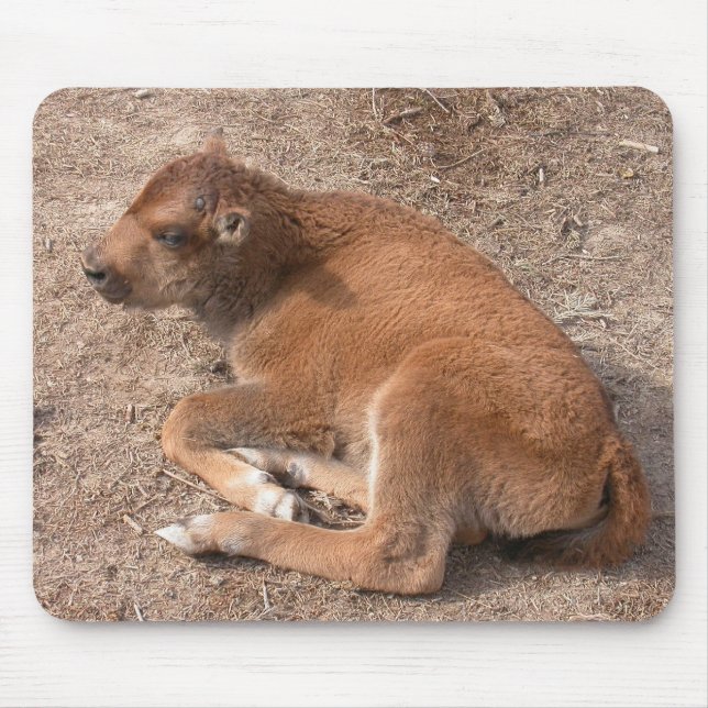 Bison Calf Mouse Pad (Front)
