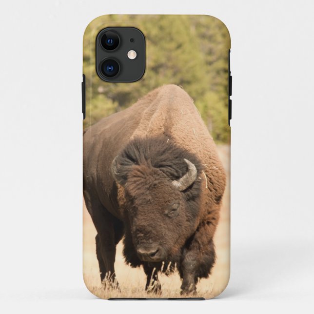 Bison Case-Mate iPhone Case (Back)