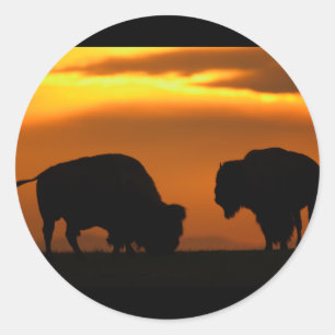 bison classic round sticker