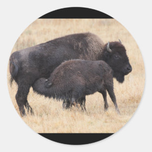 bison classic round sticker