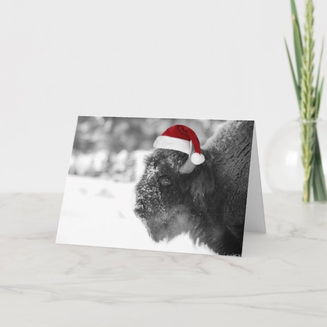 Bison Claus Holiday Card (Front)