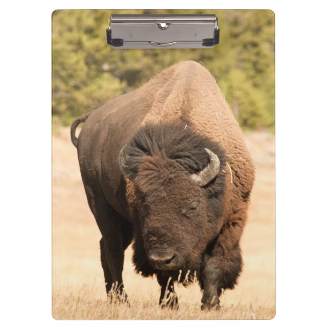 Bison Clipboard (Front)