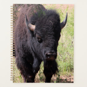 Bison Close Up Planner
