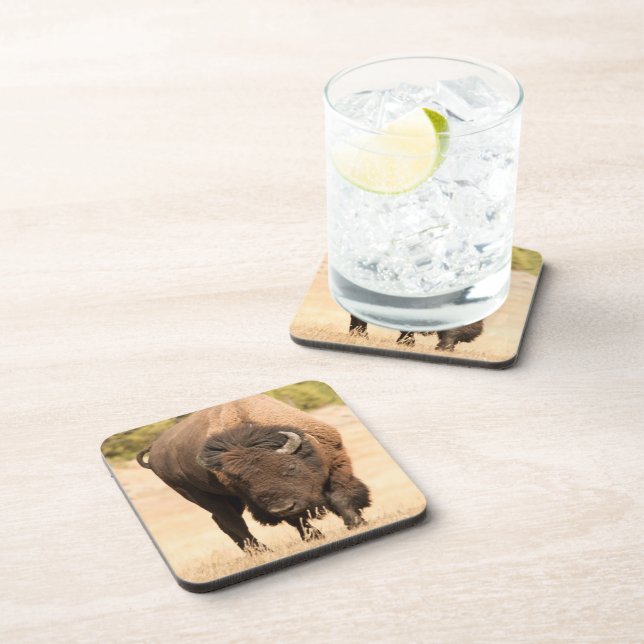 Bison Coaster (Right Side)