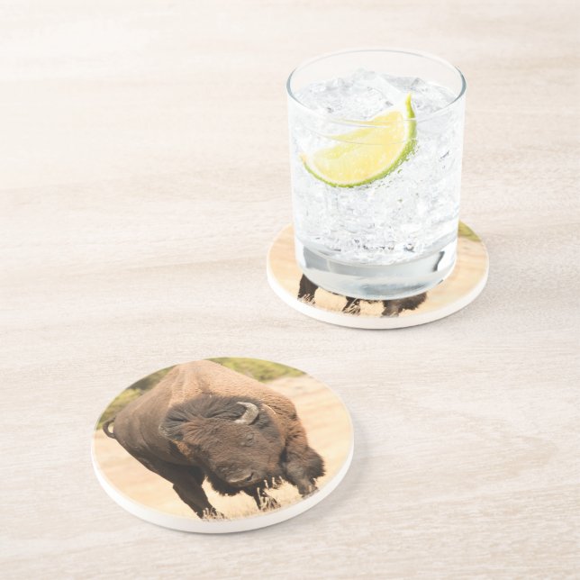 Bison Coaster (Side)