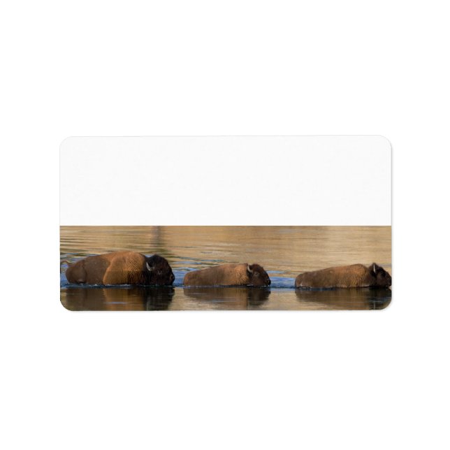 Bison Crossing River Label (Front)