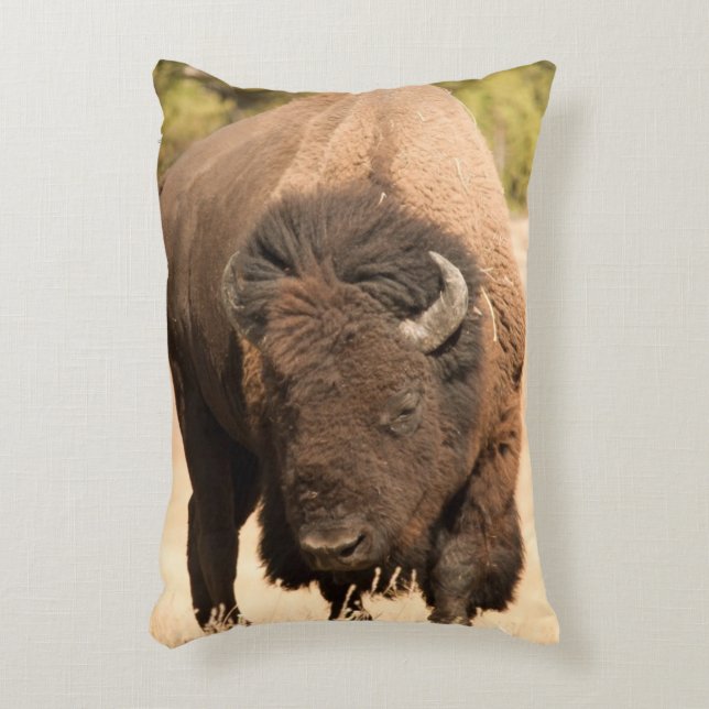 Bison Decorative Cushion (Front(Vertical))