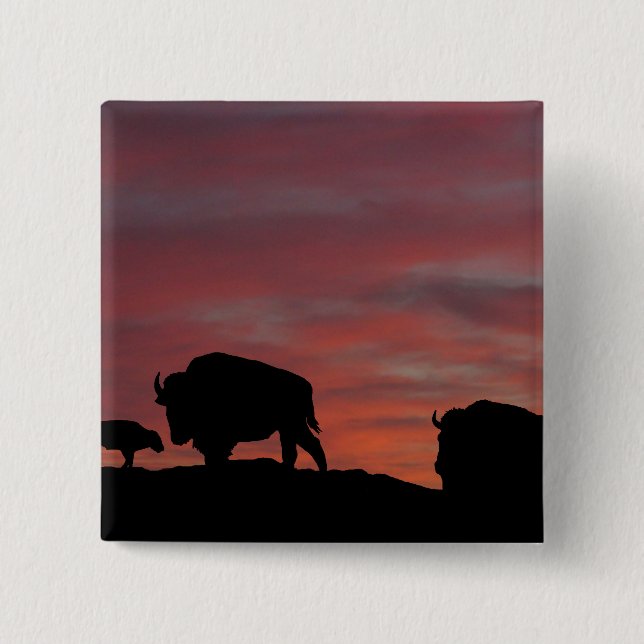 Bison family 15 cm square badge (Front)